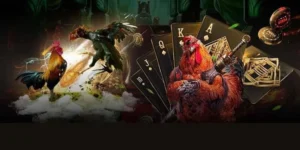 Bật Mí Cách Chơi Đá Gà GA28 Tại Fafa191 Từ Cao Thủ Lão Làng