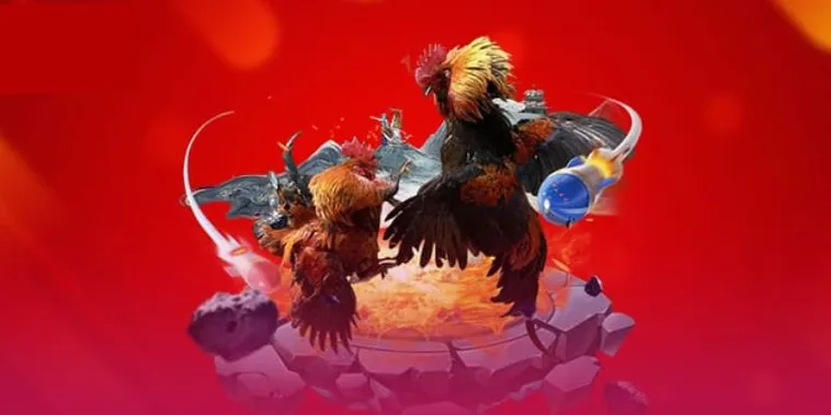 Đá Gà Fafa191: Sân Chơi Kê Thủ Đẳng Cấp Hàng Đầu Hiện Nay